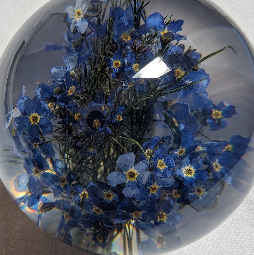 Hafod Grange Paperweight made in the UK - Forget me Not flowers